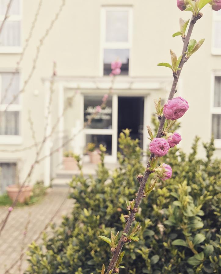 Hotel Gramlich Heddesheim Екстериор снимка